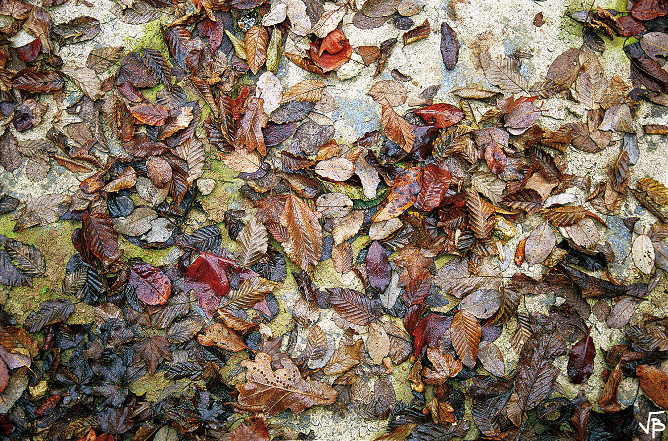 Décomposition et composition