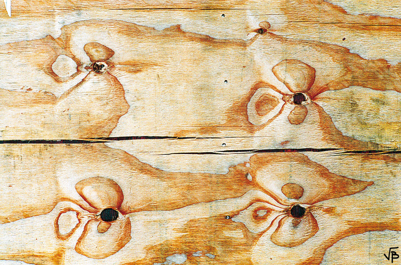Fleurs de bois