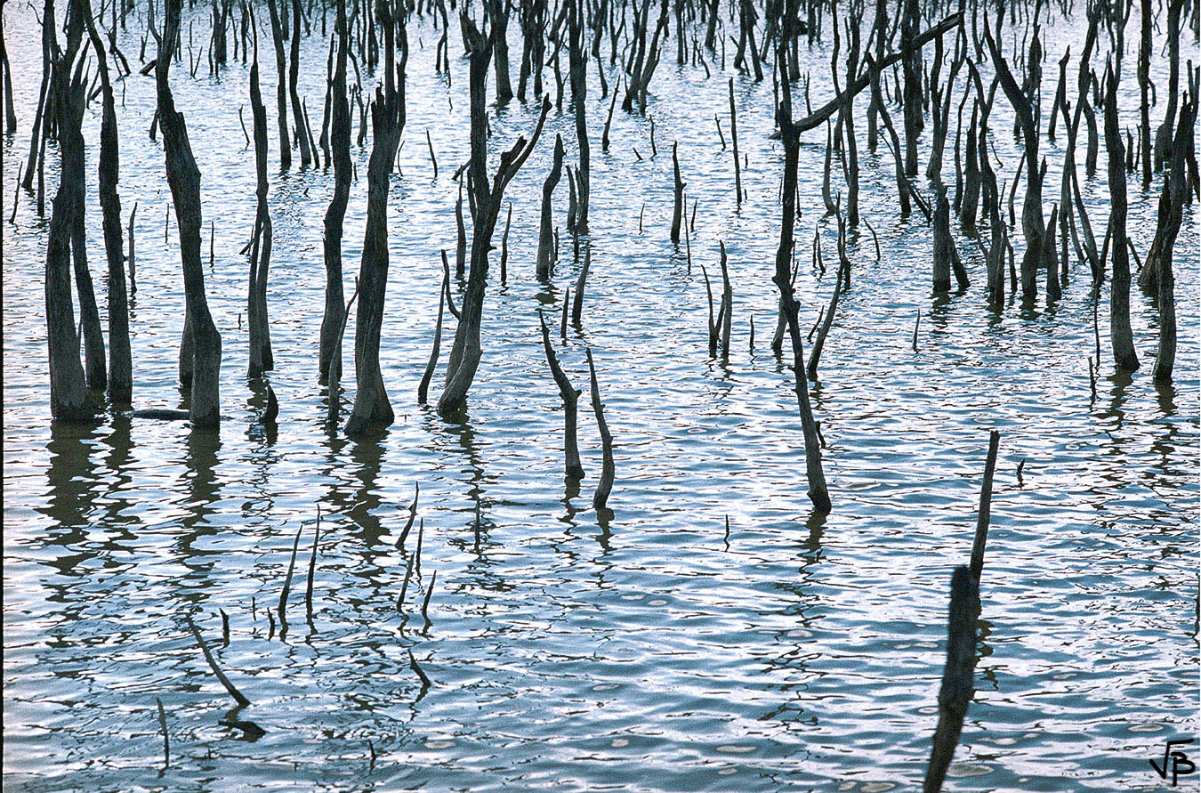 Montée des eaux