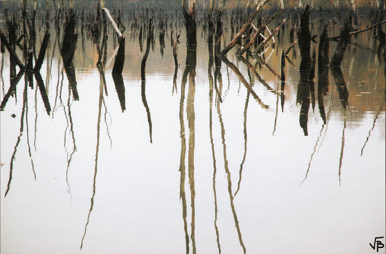 Verdun inondé