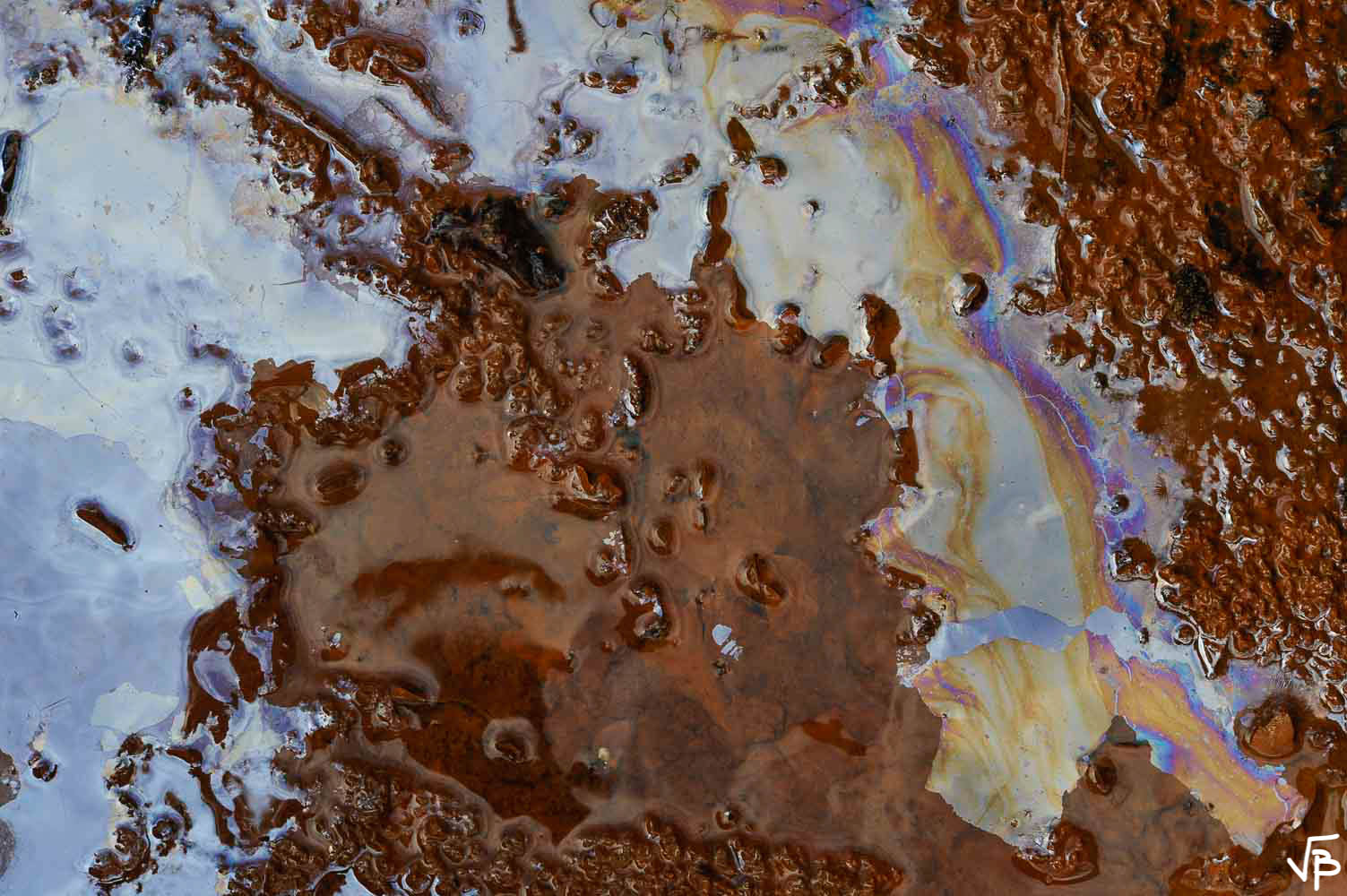 004 004