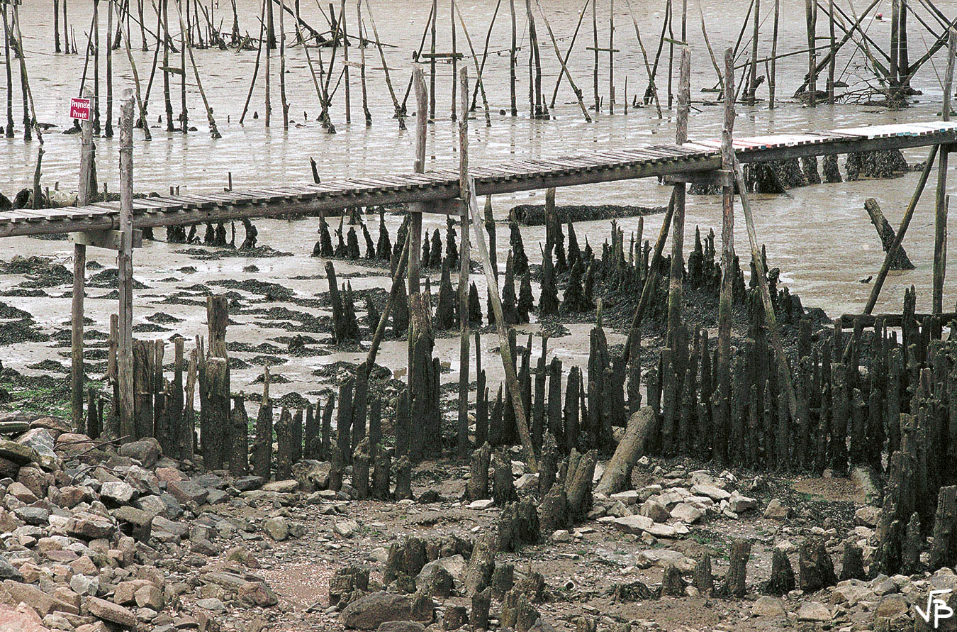 Estuaire envasé
