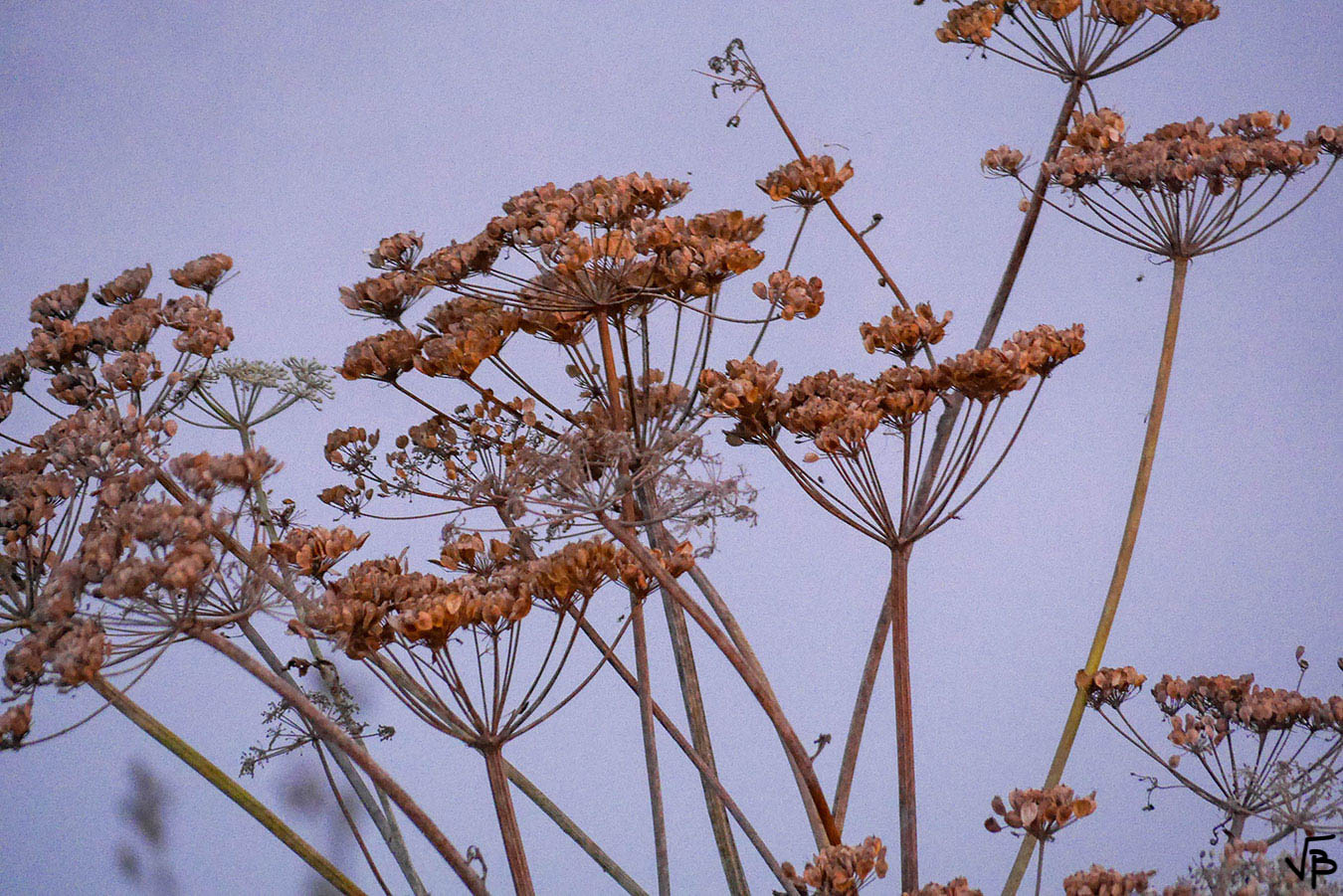 L051-383